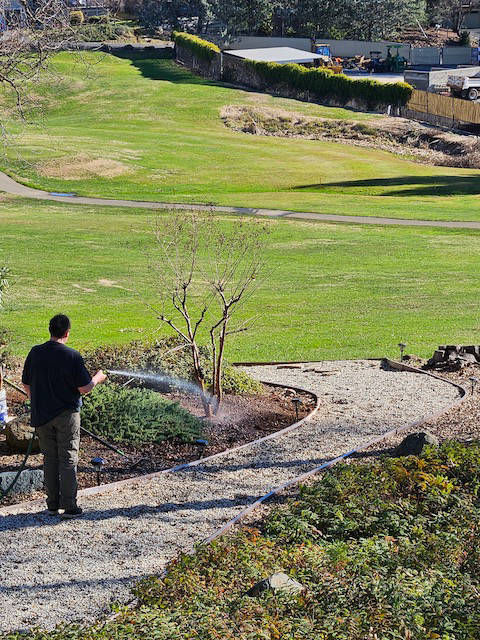 Davis Tree Management Expert Tree Care Senior Discounts up to 15% OFF!