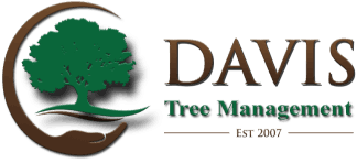 Davis Tree Management | Seasonal Discounts up to 15% OFF!